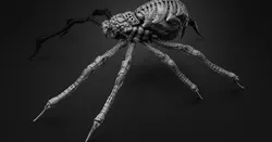 Hell Arachnid