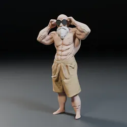 Mestre Kame Master Roshi 3D Print Model in Man 570784