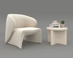Modern Coffee Table and Armchair 57