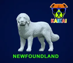 Newfoundland dog - Newfie dog model - 3D print 3D Print Model in Animals 571821
