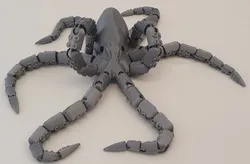 Inky the Playful Octopus