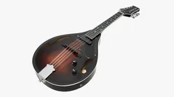 Mandolin String Instrument