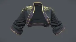 Traditional Chinese Japanese Bolero Jacket