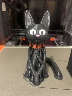 cat