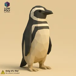 Magellanic Penguin - South Atlantic seabird Low Poly style