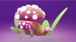 Magic Mushrooms