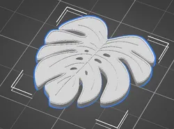 Monstera Leaf