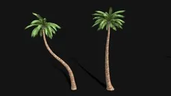 Palm Trees Lowpoly