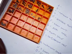 Sorting Tray