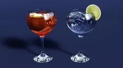 Drink Glass - Tropical Gin and Gin Tonic