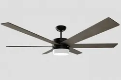 Hunter fan