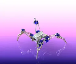 ISEF Crawling Robot Concept