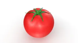 Red Tomato