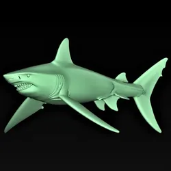 shark