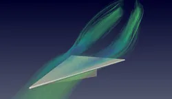 Slender Delta Wings