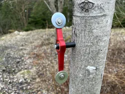 Spinning Target