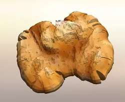 Walnut