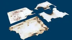 Burnt Paper Lowpoly 4 Sheet Pack for Free