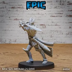 Platinum Paladin Stance / Human Knight / Armored Warrior / Dragonslayer / Humanoid Hero / Drake Beast Tamer / Legendary Creature Hunter / Monster Fighter / Sword Master / Heroic Guard / Draconic Army