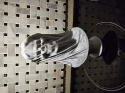 Veiled Dead Bride