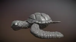 A Bumpy Tortoise