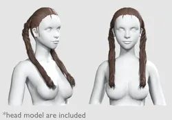 Braids Ponytails Hairstyle V9353