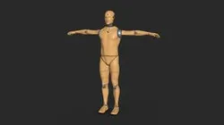 Crash Test Dummy - Rigged