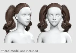 Cute Ponytails Hairstyle V11985