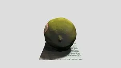 Lime