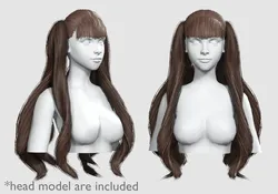 Long Ponytails Hairstyle V11801
