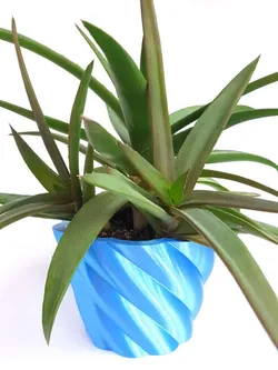 Sleek plant pot