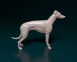 Greyhound dog 3D Print Model in Figurines 409863