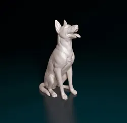 Malinois dog 3D Print Model in Figurines 410442