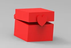 Secret condom box