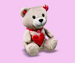 teddy