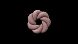 1942.206.d Ink Cake in Shape of a Brocade Knot