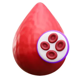 Blood Cells
