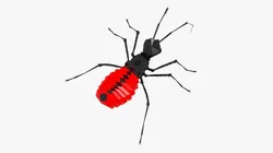 Bug low poly