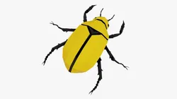 Bug low poly