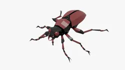Bug low poly