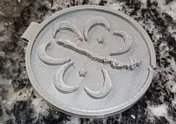 Chilean Girl Guides Medal