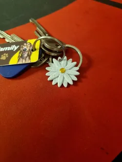 Daisy keychain