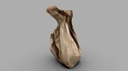 Paper Bag Scan MEDPOLY