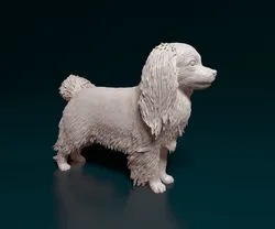 Phalene dog 3D Print Model in Figurines 410539