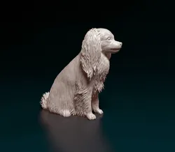 Phalene dog sitting 3D Print Model in Figurines 410538
