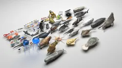 Sea Creatures Set