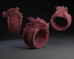 Dragon Ring #2