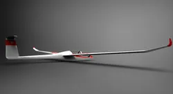 Glider DG-1000