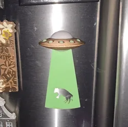 Glow-in-the-Dark UFO Fridge Magnet