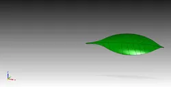green leaf
